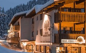 Hotel Adler Carezza